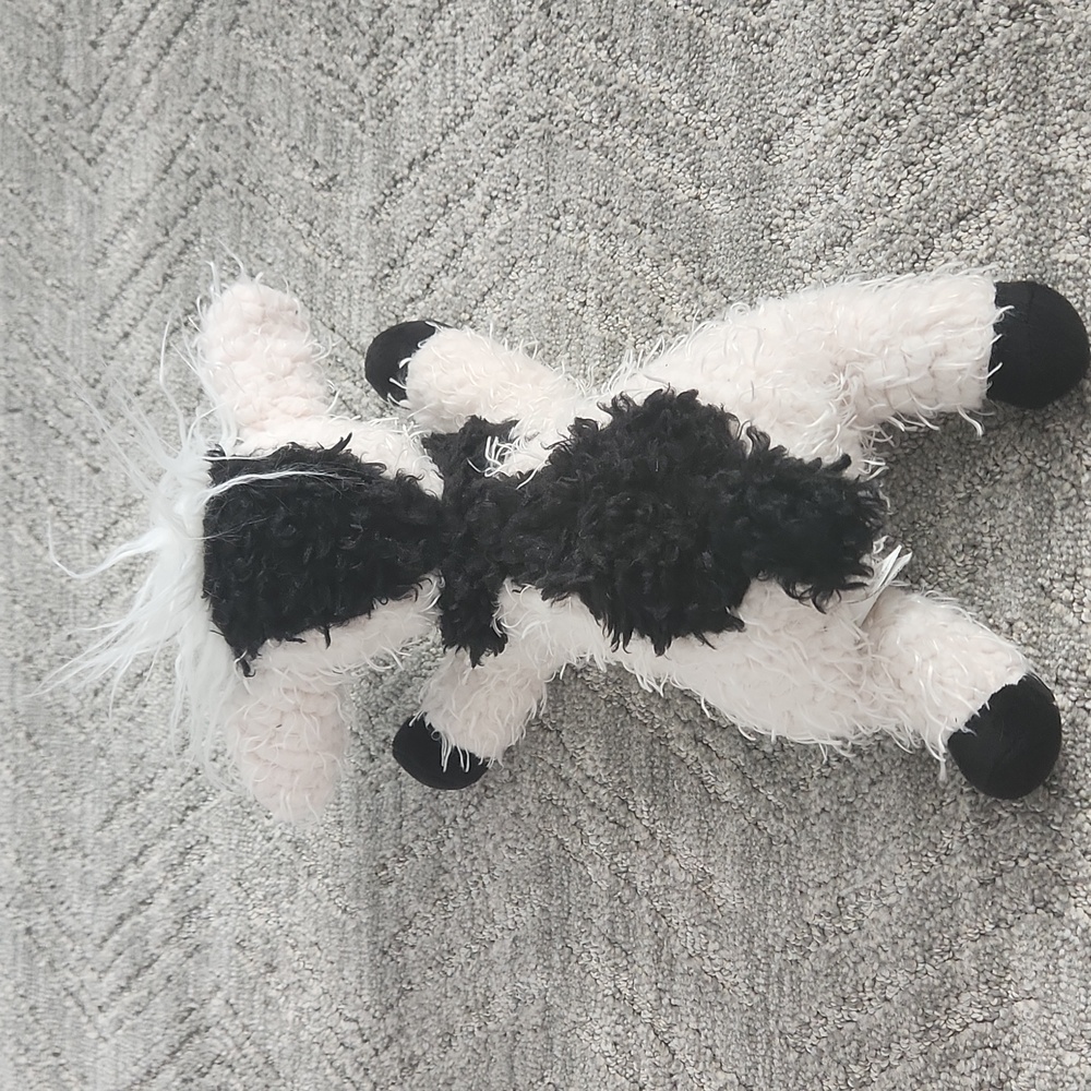 Tilamook Cow - Picture 3 of 6